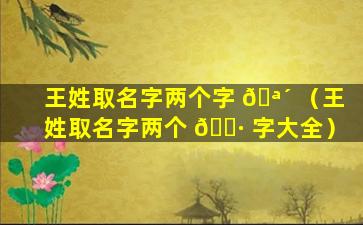 王姓取名字两个字 🪴 （王姓取名字两个 🕷 字大全）